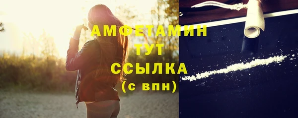 крисы Балахна