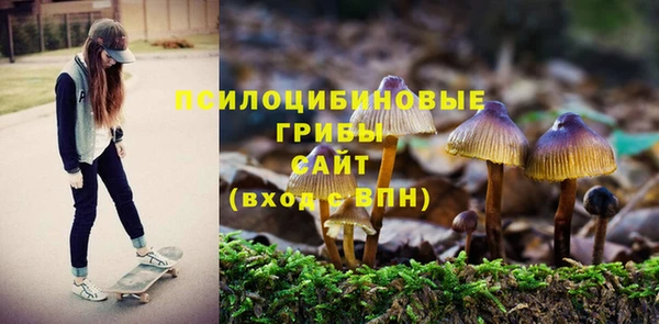 не бодяженный Приозерск