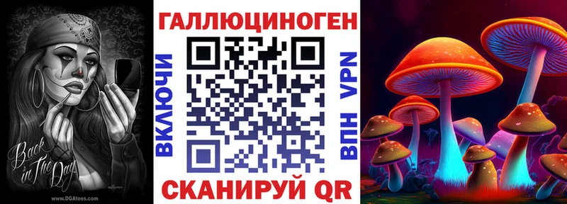 Галлюциногенные грибы Psilocybine cubensis где продают Людиново